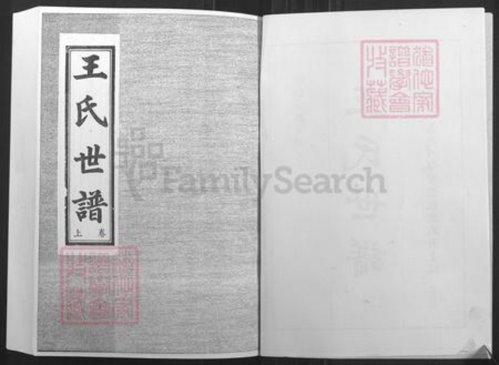 山东省淄博市桓台县新城镇王氏族谱-王氏世谱.pdf电子版插图2