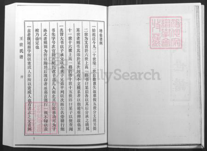山东省淄博市桓台县新城镇王氏族谱-王氏世谱.pdf电子版插图3