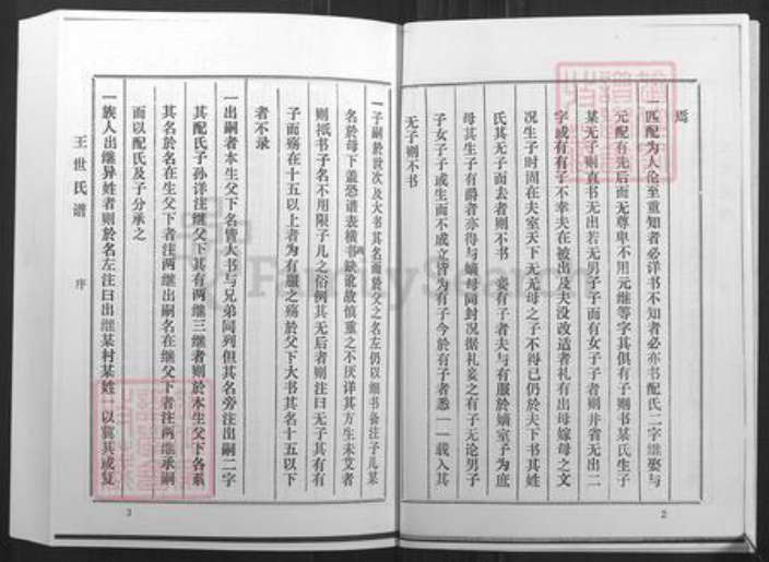 山东省淄博市桓台县新城镇王氏族谱-王氏世谱.pdf电子版插图4