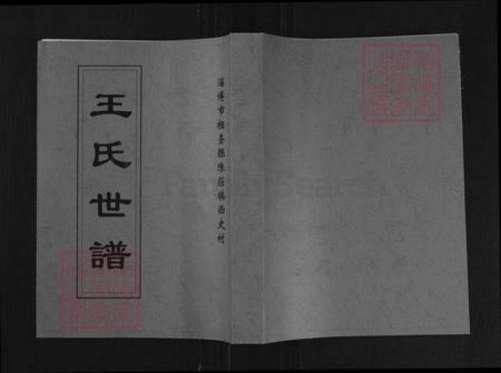 山东省淄博市桓台县王氏族谱-王氏世谱.pdf电子版插图