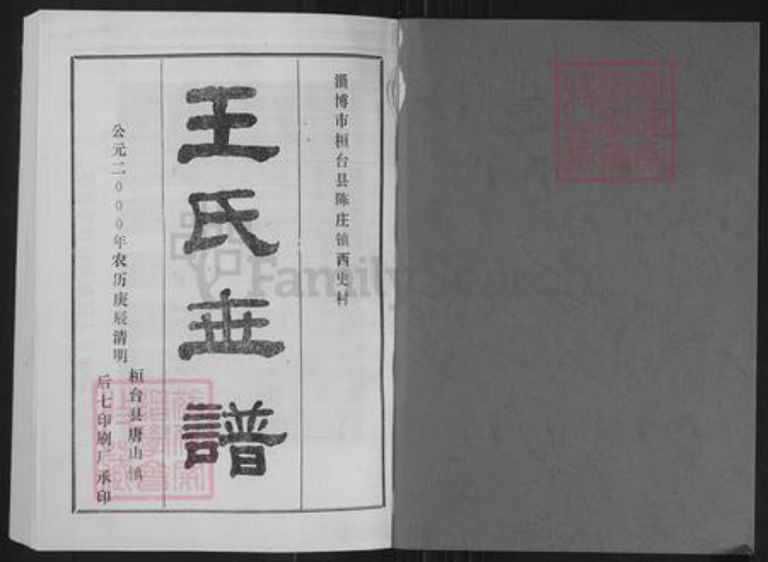 山东省淄博市桓台县王氏族谱-王氏世谱.pdf电子版插图1