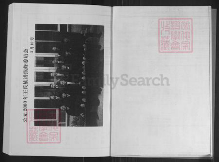 山东省淄博市桓台县王氏族谱-王氏世谱.pdf电子版插图2