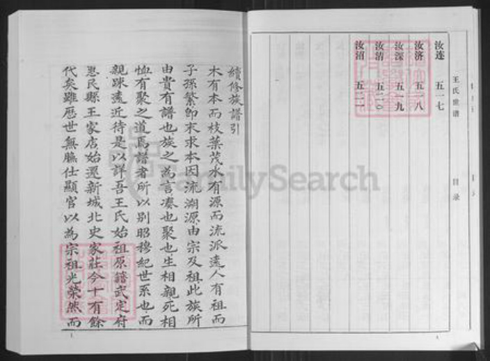 山东省淄博市桓台县王氏族谱-王氏世谱.pdf电子版插图5