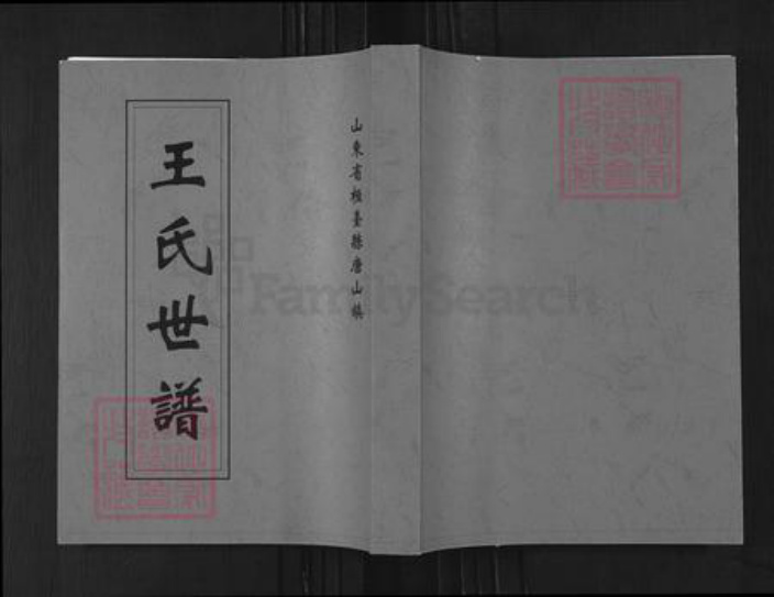 山东省淄博市桓台县唐山镇王氏族谱-王氏世谱.pdf电子版插图