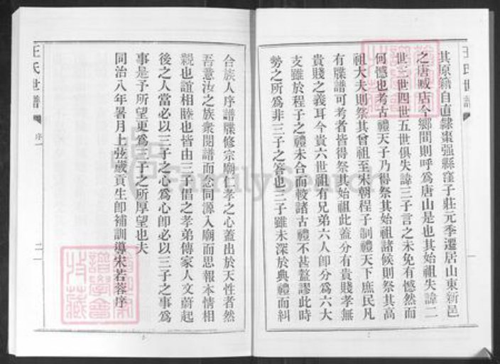 山东省淄博市桓台县唐山镇王氏族谱-王氏世谱.pdf电子版插图4