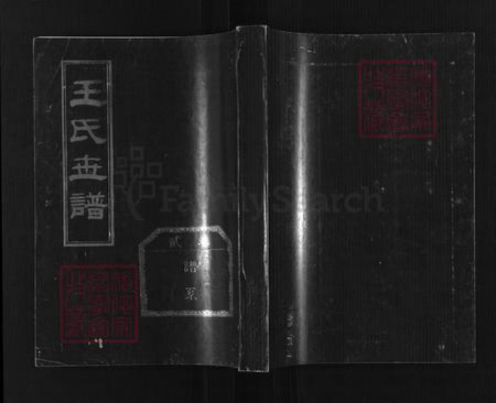 山东省淄博市桓台县荆家镇王氏族谱-王氏世谱.pdf电子版插图