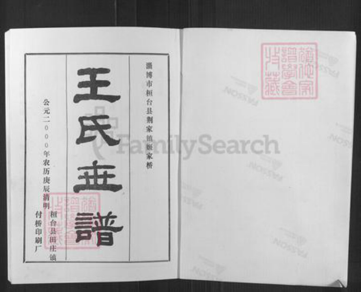 山东省淄博市桓台县荆家镇王氏族谱-王氏世谱.pdf电子版插图1