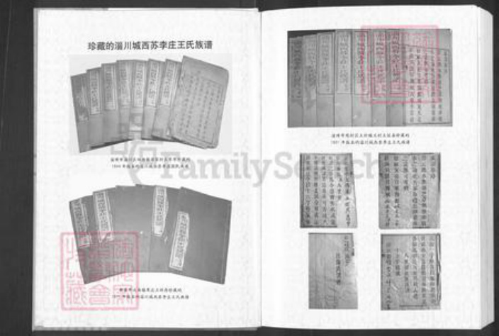 山东省淄博市周村区王氏时思堂族谱-苏李王氏族谱.pdf电子版插图1