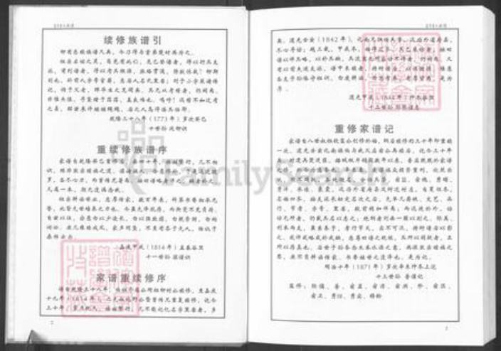 山东省淄博市周村区王氏时思堂族谱-苏李王氏族谱.pdf电子版插图4