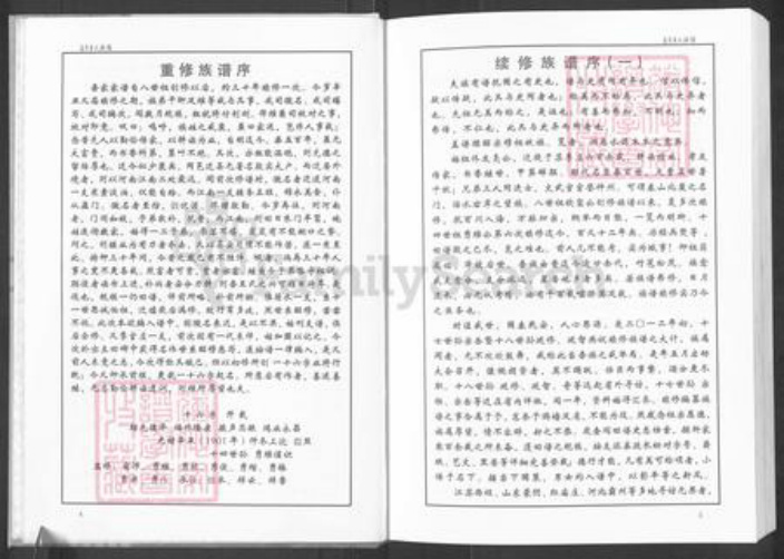 山东省淄博市周村区王氏时思堂族谱-苏李王氏族谱.pdf电子版插图5