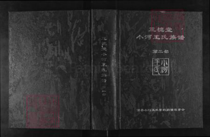 山东省日照市莒县碁山镇王氏三槐堂族谱-三槐堂小河王氏族谱.pdf电子版插图