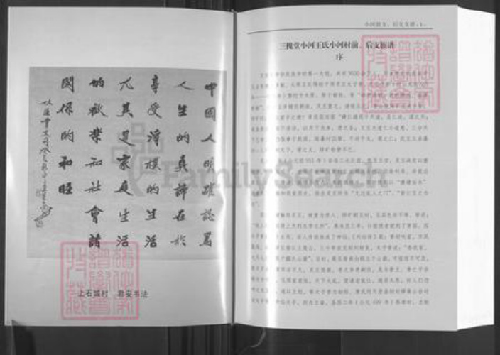 山东省日照市莒县碁山镇王氏三槐堂族谱-三槐堂小河王氏族谱.pdf电子版插图3