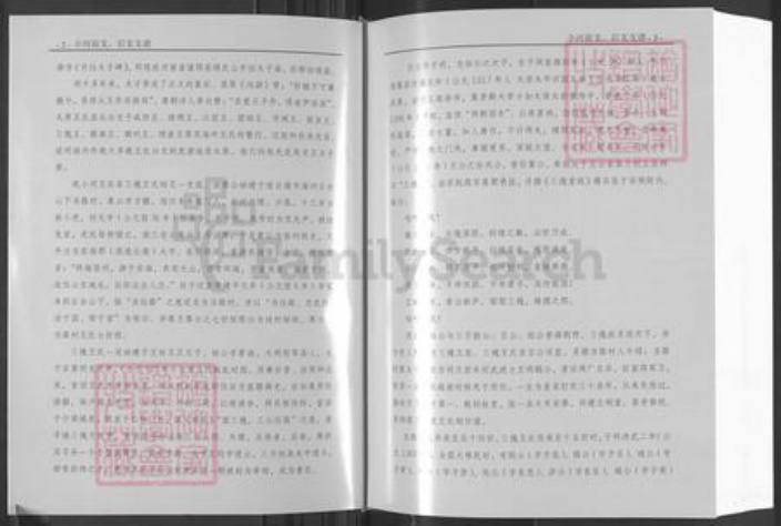 山东省日照市莒县碁山镇王氏三槐堂族谱-三槐堂小河王氏族谱.pdf电子版插图4
