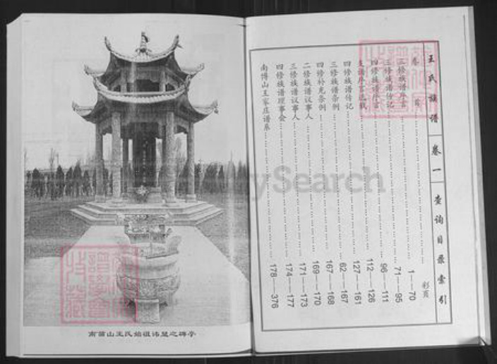 山东省济南市莱芜区苗山镇王氏敦本堂族谱-王氏族谱.pdf电子版插图2