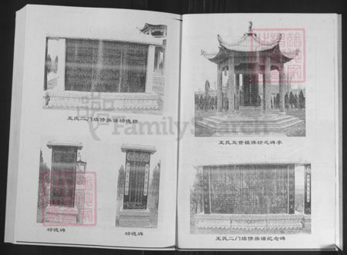 山东省济南市莱芜区苗山镇王氏敦本堂族谱-王氏族谱.pdf电子版插图3