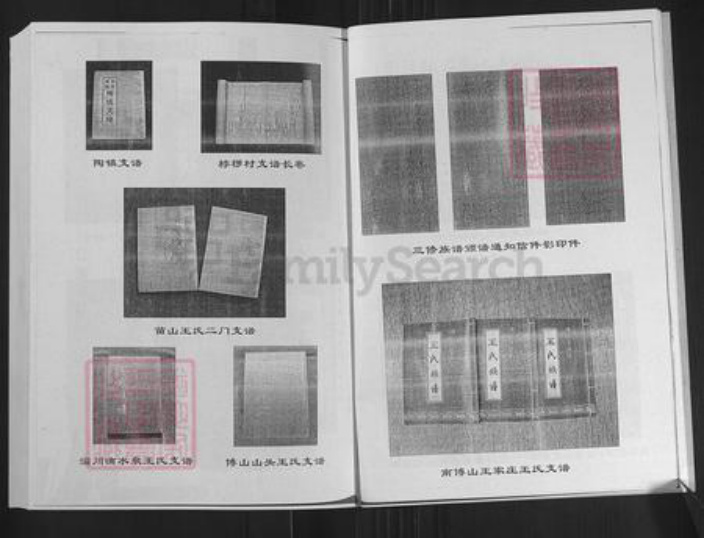 山东省济南市莱芜区苗山镇王氏敦本堂族谱-王氏族谱.pdf电子版插图5