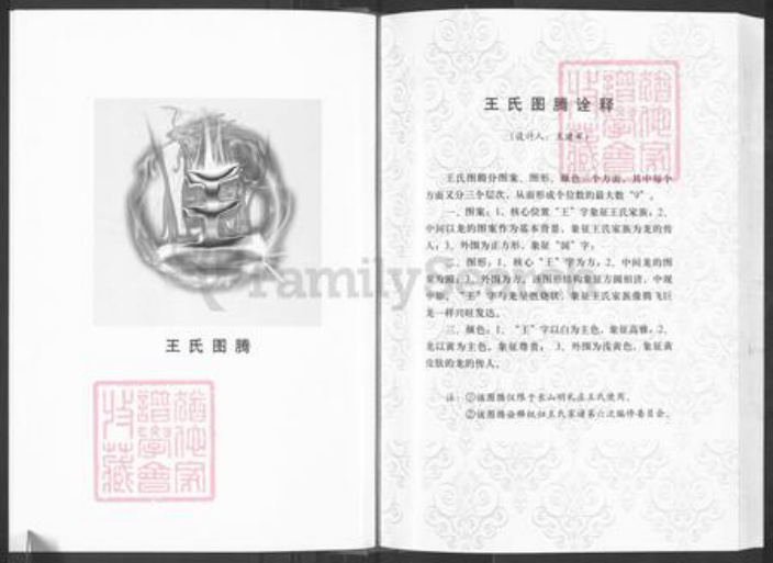 山东省滨州市邹平市长山镇王氏族谱-王氏家谱.pdf电子版插图3