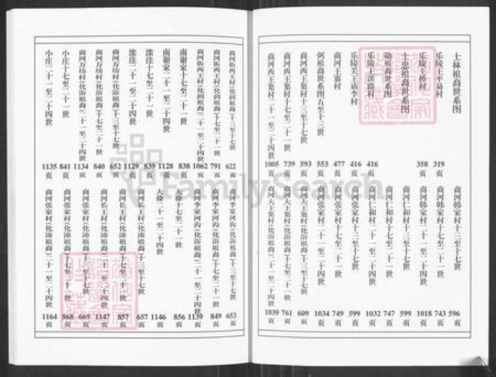 山东省德州市乐陵市王氏树槐堂族谱-王氏家乘.pdf电子版插图3