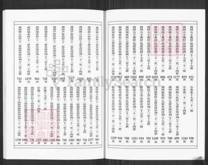 山东省德州市乐陵市王氏树槐堂族谱-王氏家乘.pdf电子版插图4