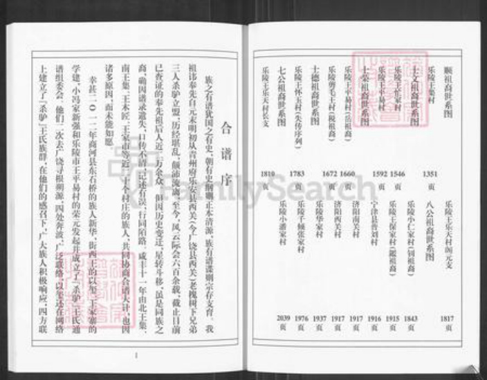 山东省德州市乐陵市王氏树槐堂族谱-王氏家乘.pdf电子版插图5