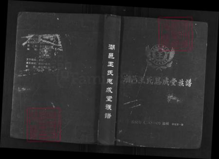 广东省汕头市潮南区陇田镇王氏思成堂族谱-潮邑王氏思成堂族谱.pdf电子版插图