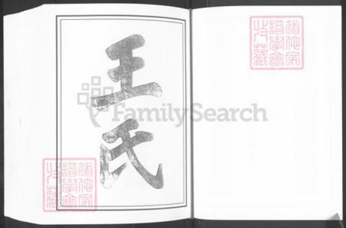 江苏省南京市江宁区王氏三槐堂族谱-王氏宗谱.pdf电子版插图3