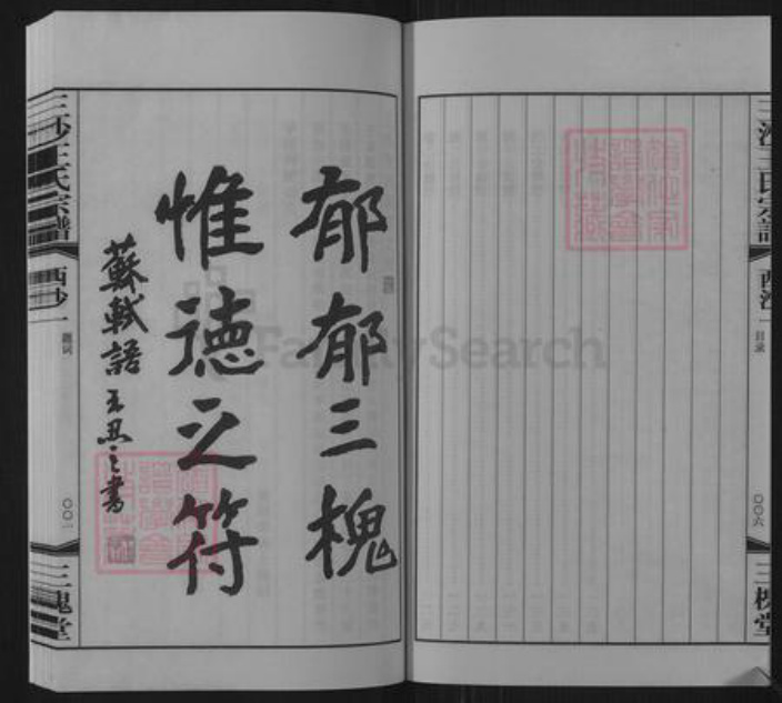 江苏省无锡市惠山区长安街道王氏三槐堂族谱-三沙王氏宗谱.pdf电子版插图5