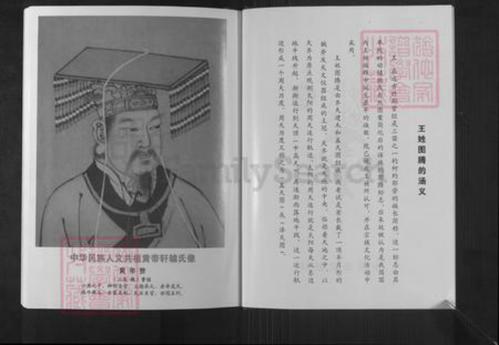 江苏省盐城市盐都区龙冈镇王氏三槐堂族谱-大丰王家桥三槐王氏宗谱.pdf电子版插图4
