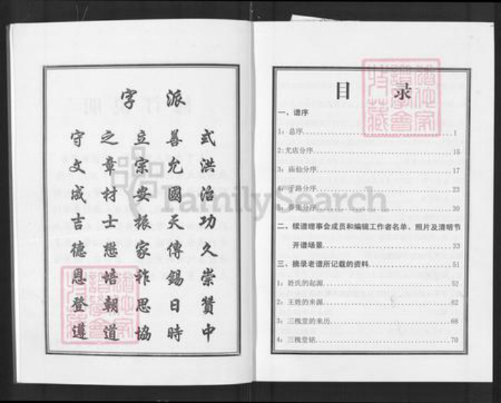 湖北省武汉市黄陂区王氏三槐堂族谱-王亨户宗谱.罗山县正阳县分支.pdf电子版插图3