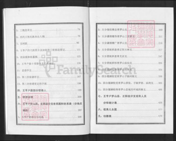 湖北省武汉市黄陂区王氏三槐堂族谱-王亨户宗谱.罗山县正阳县分支.pdf电子版插图4