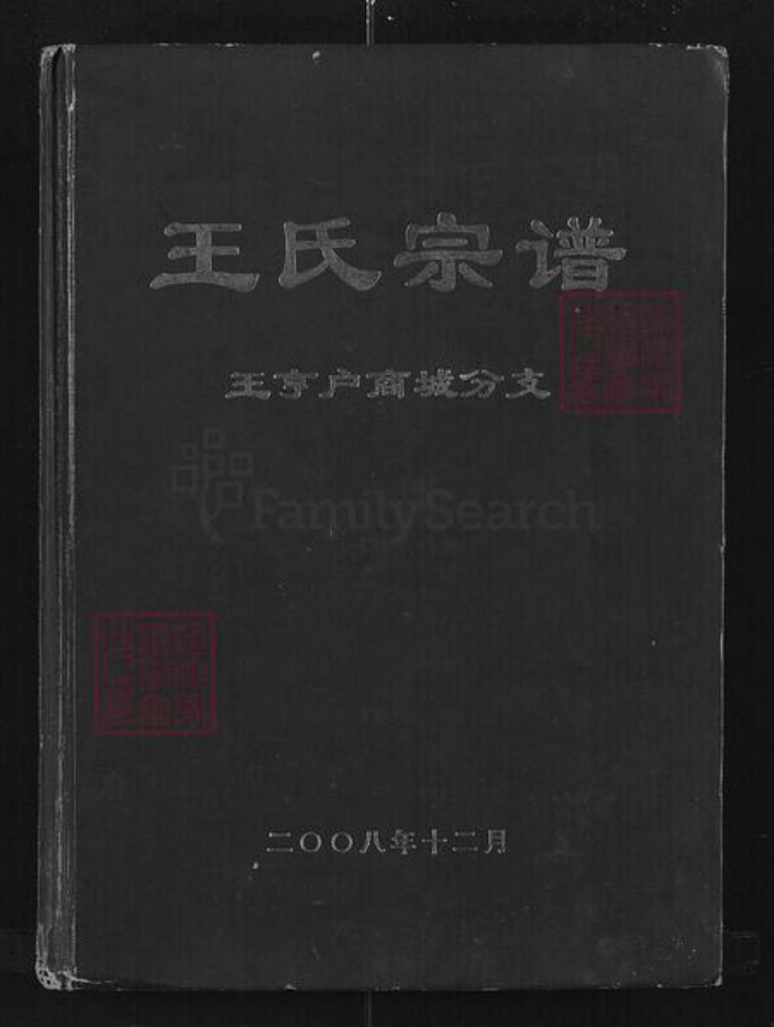 河南省信阳市商城县王氏族谱-王氏宗谱.王亨户商城分支.pdf电子版插图