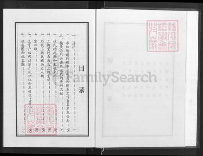 河南省信阳市新县郭家河乡王氏三槐堂族谱-王氏宗谱.王享户新县分支.pdf电子版插图3