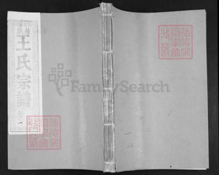安徽省马鞍山市当涂县姑孰镇王氏三槐堂族谱-姑孰王氏宗谱.pdf电子版插图