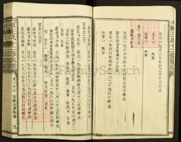 福建省三明市宁化县水茜镇王氏族谱-太原王氏十二修族谱.pdf电子版插图4