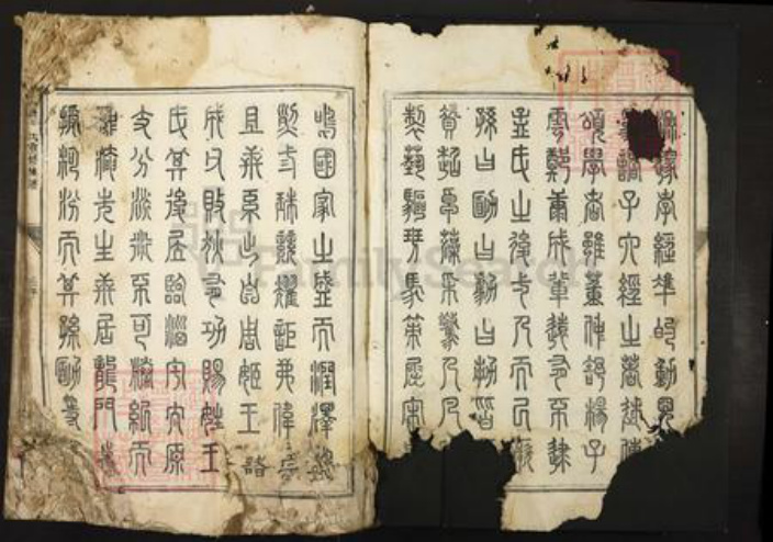 广东省韶关市南雄市王氏族谱-浈昌王氏重修族谱.pdf电子版插图2