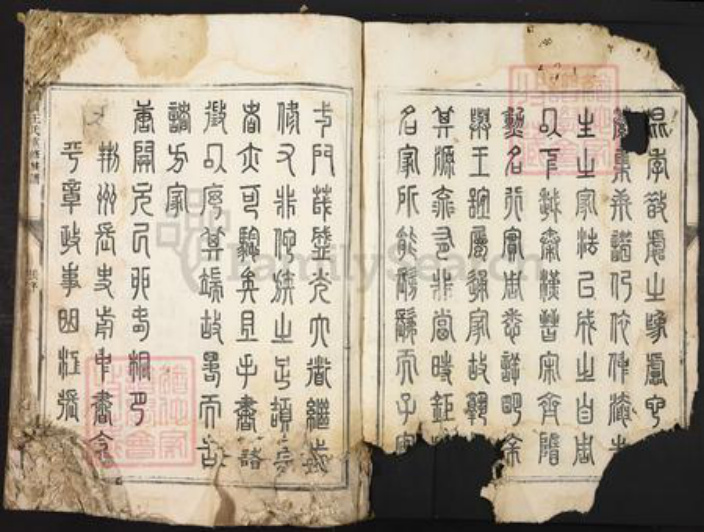 广东省韶关市南雄市王氏族谱-浈昌王氏重修族谱.pdf电子版插图4