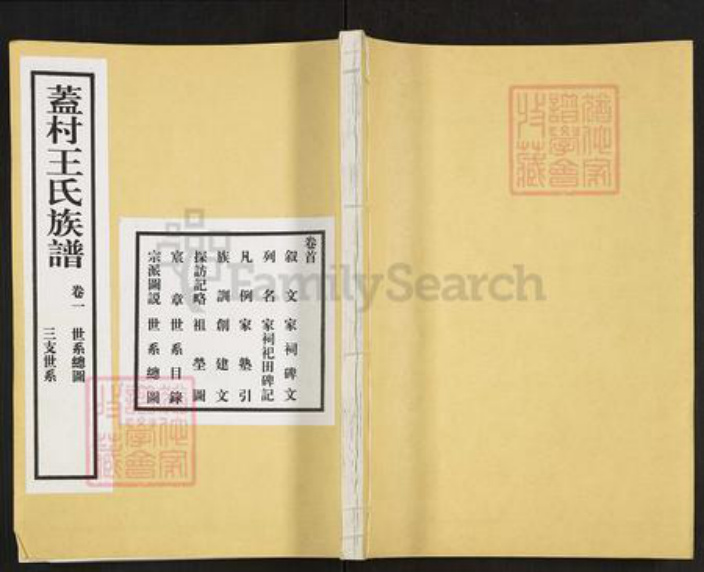 山东省枣庄市滕州市滨湖镇王氏族谱-盖村王氏族谱.pdf电子版插图