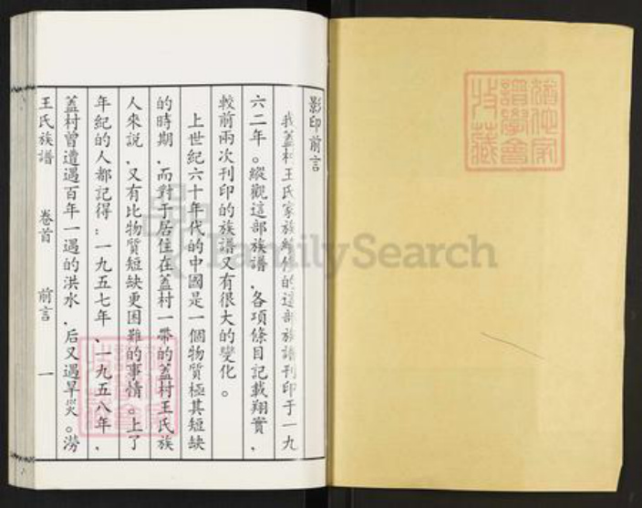 山东省枣庄市滕州市滨湖镇王氏族谱-盖村王氏族谱.pdf电子版插图1