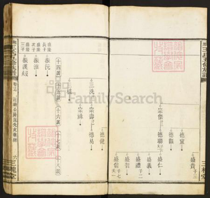 湖南省湘潭市王氏三槐堂族谱-湘潭王氏五修族谱.pdf电子版插图2