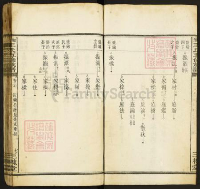 湖南省湘潭市王氏三槐堂族谱-湘潭王氏五修族谱.pdf电子版插图3