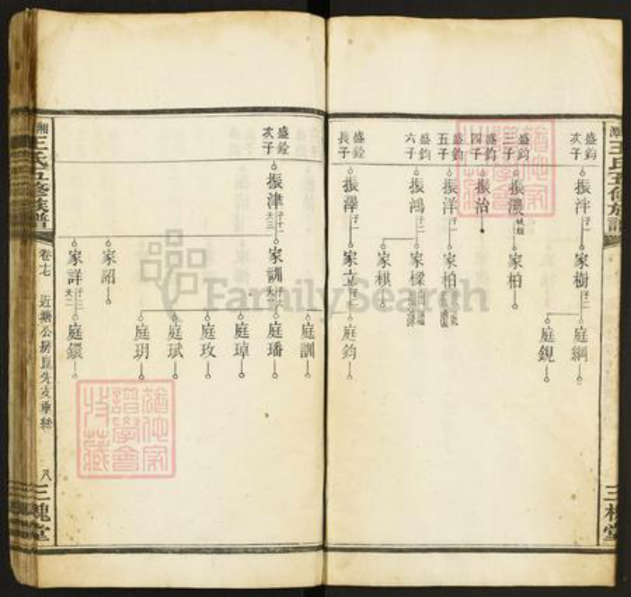 湖南省湘潭市王氏三槐堂族谱-湘潭王氏五修族谱.pdf电子版插图4