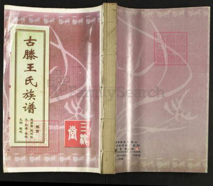 山东省枣庄市滕州市级索镇王氏三槐堂族谱-古滕王氏族谱.pdf电子版插图