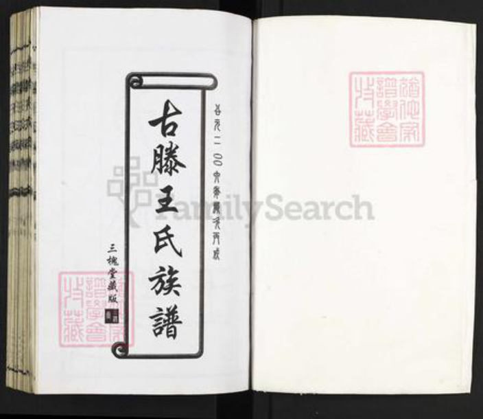山东省枣庄市滕州市级索镇王氏三槐堂族谱-古滕王氏族谱.pdf电子版插图1