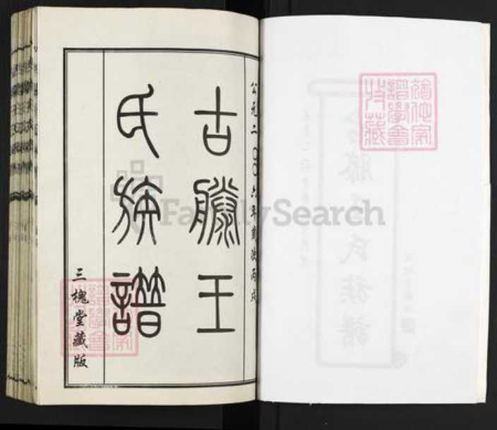 山东省枣庄市滕州市级索镇王氏三槐堂族谱-古滕王氏族谱.pdf电子版插图2