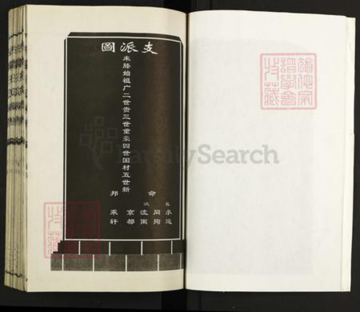 山东省枣庄市滕州市级索镇王氏三槐堂族谱-古滕王氏族谱.pdf电子版插图5
