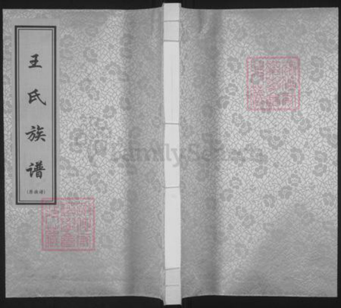 山东省淄博市临淄区王氏族谱-王氏族谱.pdf电子版插图