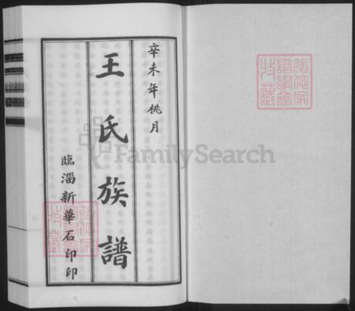 山东省淄博市临淄区王氏族谱-王氏族谱.pdf电子版插图1