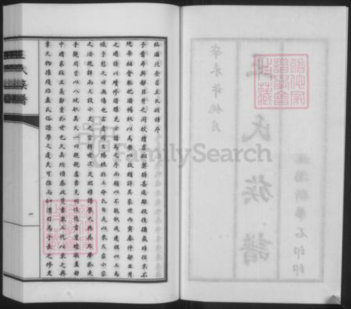 山东省淄博市临淄区王氏族谱-王氏族谱.pdf电子版插图2