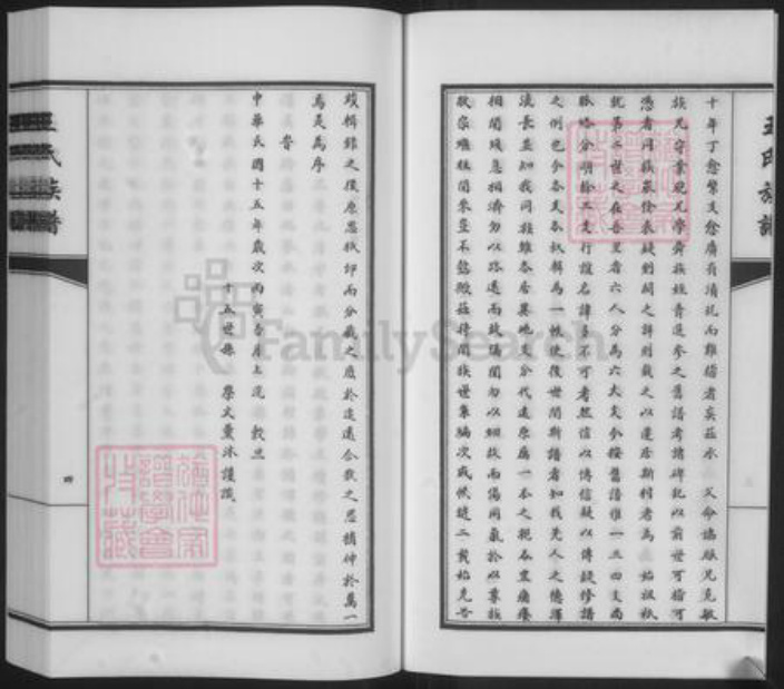山东省淄博市临淄区王氏族谱-王氏族谱.pdf电子版插图5