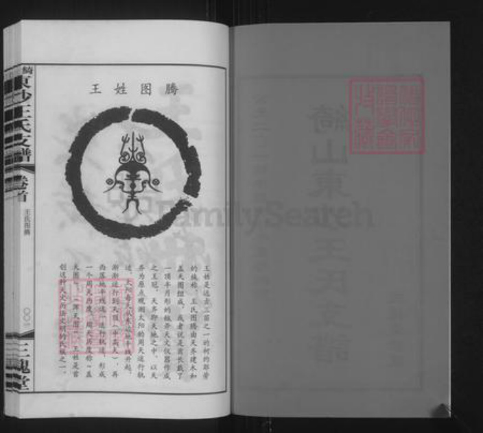 江苏省无锡市江阴市澄江街道王氏三槐堂族谱-绮山东沙王氏支谱.pdf电子版插图2